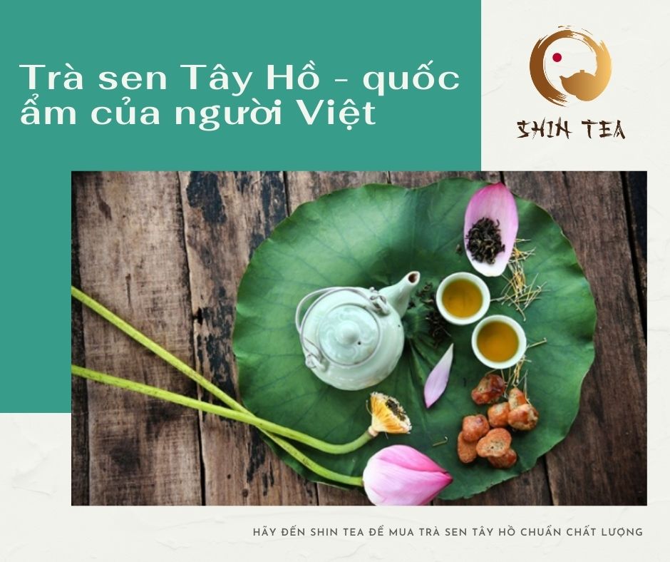 trà sen tây hồ quốc ẩm của người Việt